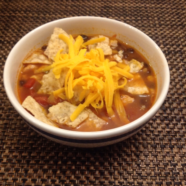 Spicy Mexican Tortilla Soup