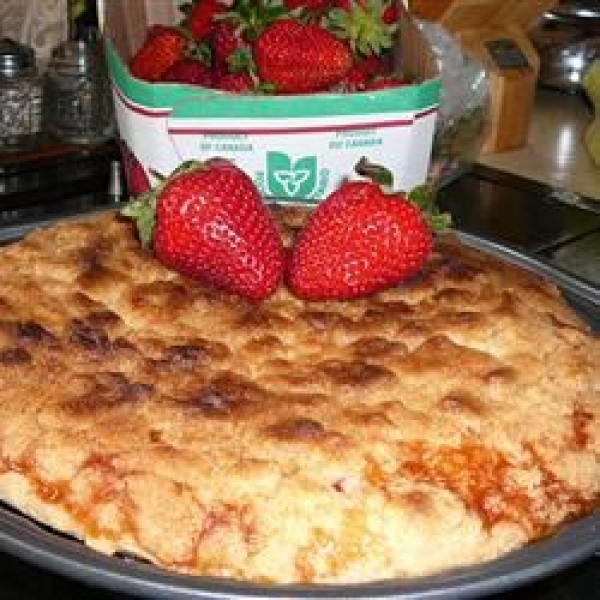 Strawberry Rhubarb Pie III