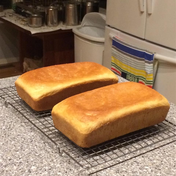 Salt Rising Bread