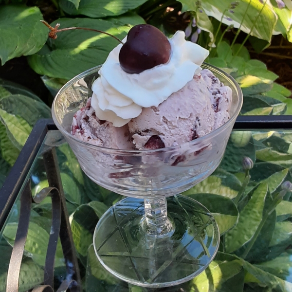 Easy Cherry-Chocolate Chunk Ice Cream