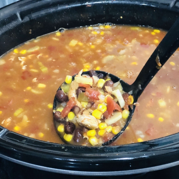 Slow Cooker Chicken Enchilada Soup