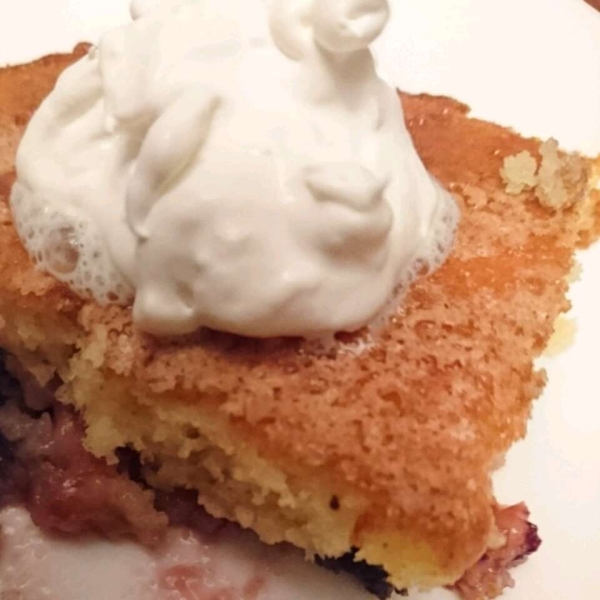 Easy Rhubarb Pudding Cake
