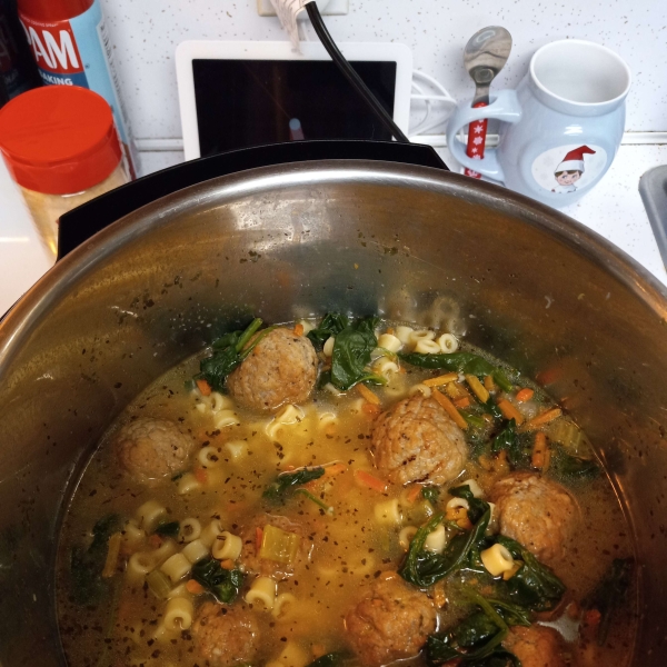 Instant Pot® Italian Wedding Soup