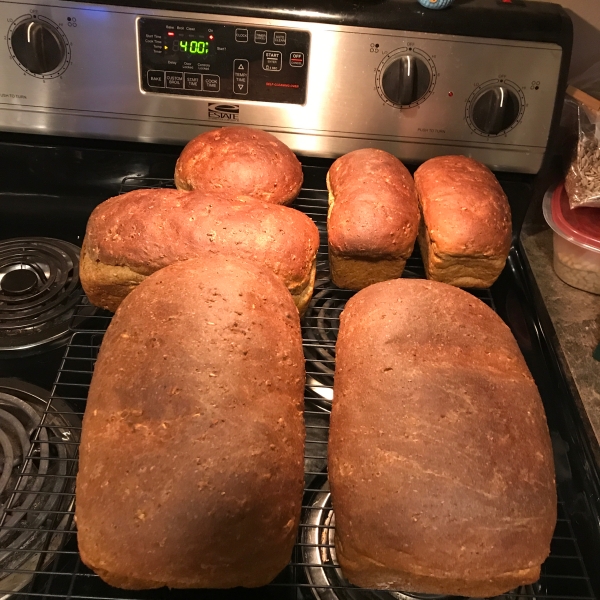 Whole Wheat Seed Bread