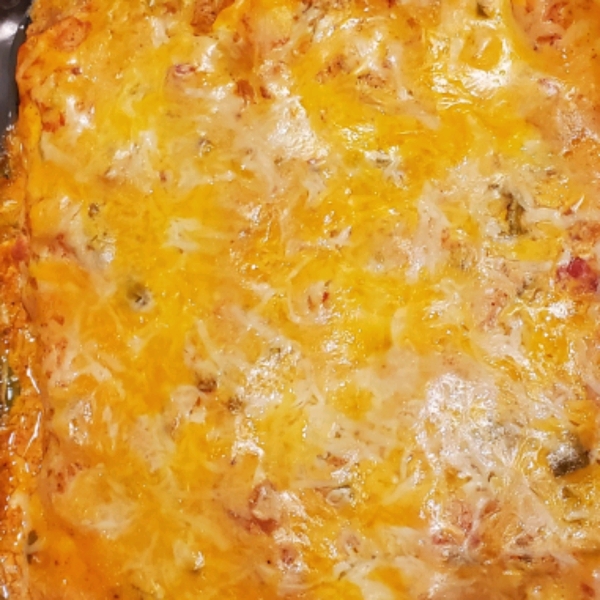 Campbell's® Easy Chicken and Cheese Enchiladas