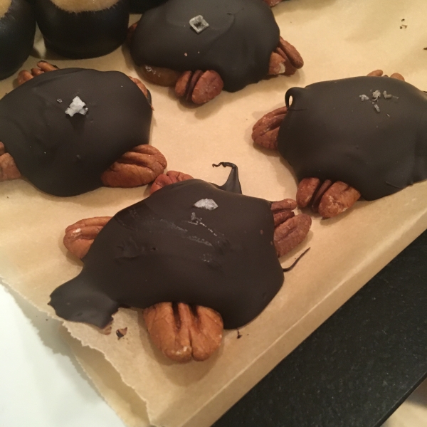 Snappy Turtle Cookies