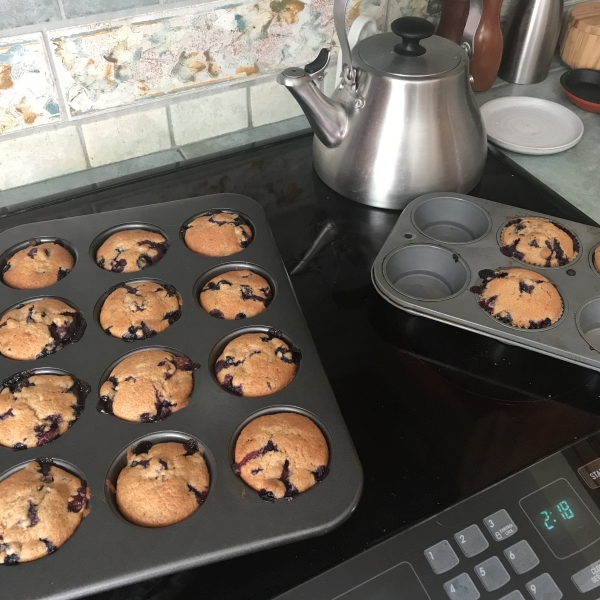 Whole Wheat Blueberry Muffins