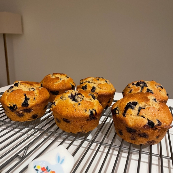 Whole Wheat Blueberry Muffins