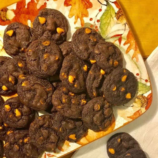 Chocolate Pumpkin Chip Cookies
