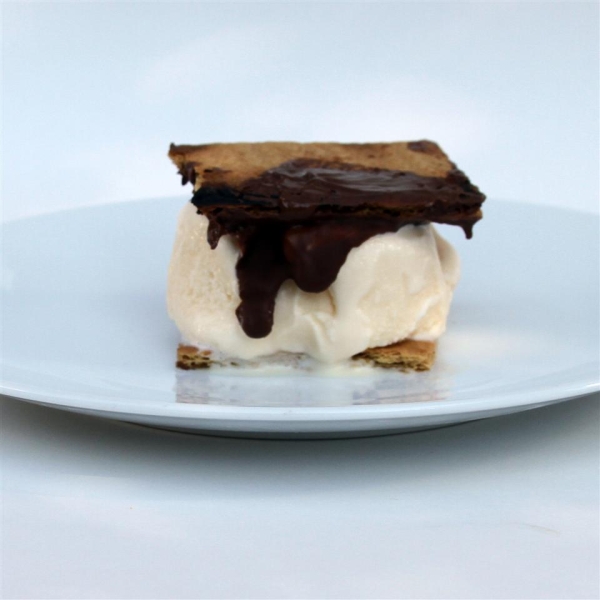 Grilled S'mores Ice Cream Sandwiches