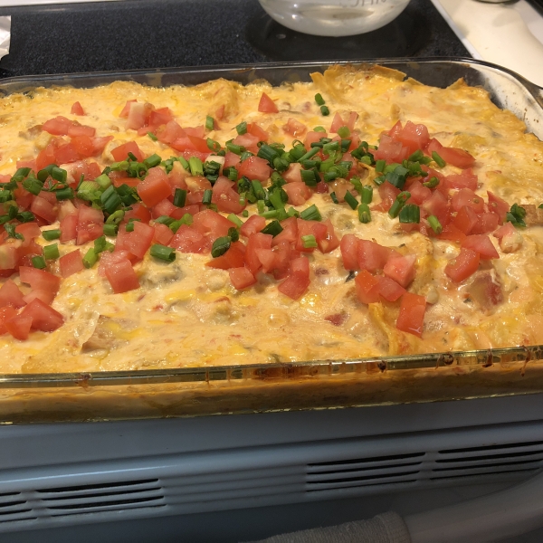 Cheesy Poblano Chicken Enchiladas