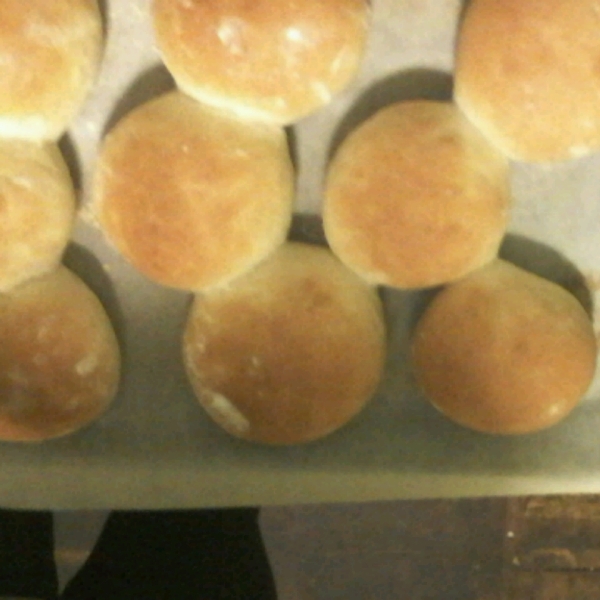 Hamburger Buns