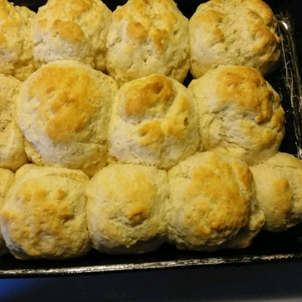 (Big as a) Cathead Biscuits