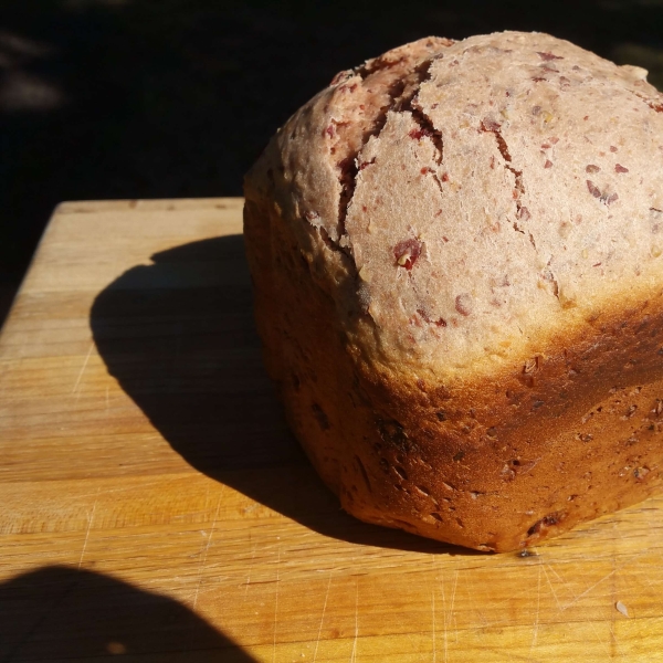 Cranberry Oat Bread