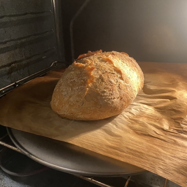 No-Knead Artisan Style Bread