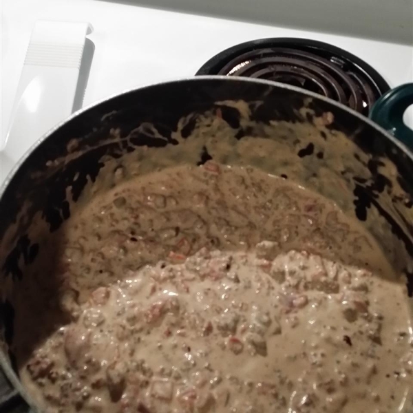 Hot Sausage Dip