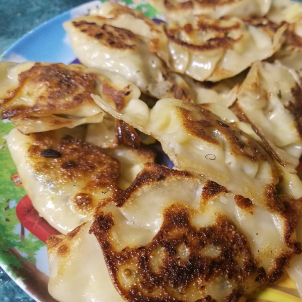 Pan-Fried Chinese Dumplings