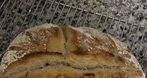 Better-Than-Bakery No-Knead Sourdough