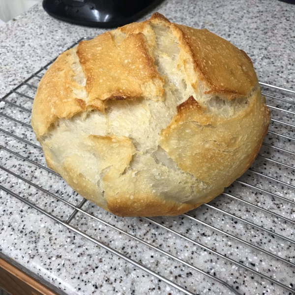 Better-Than-Bakery No-Knead Sourdough
