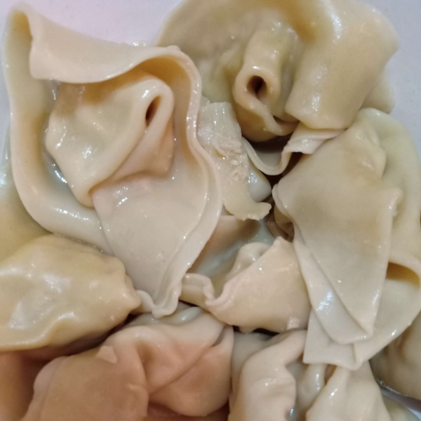 Chicken Wontons