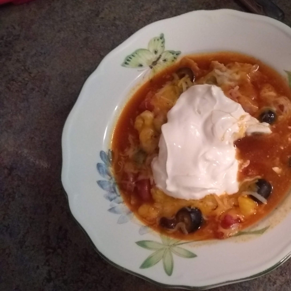 Hearty Vegetarian Enchilada Soup