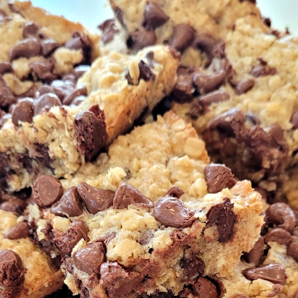 Bake Sale Chocolate Chip Oatmeal Brownies