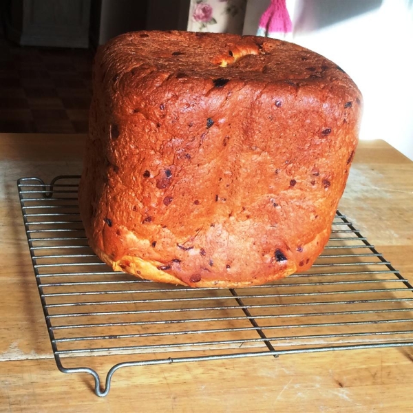 Beer-Onion-Jalapeno Cheese Bread