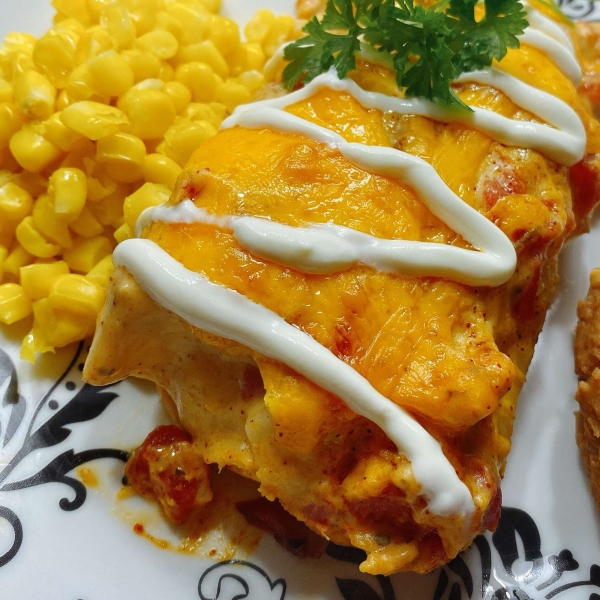 Creamy Chicken Enchiladas with White Sauce
