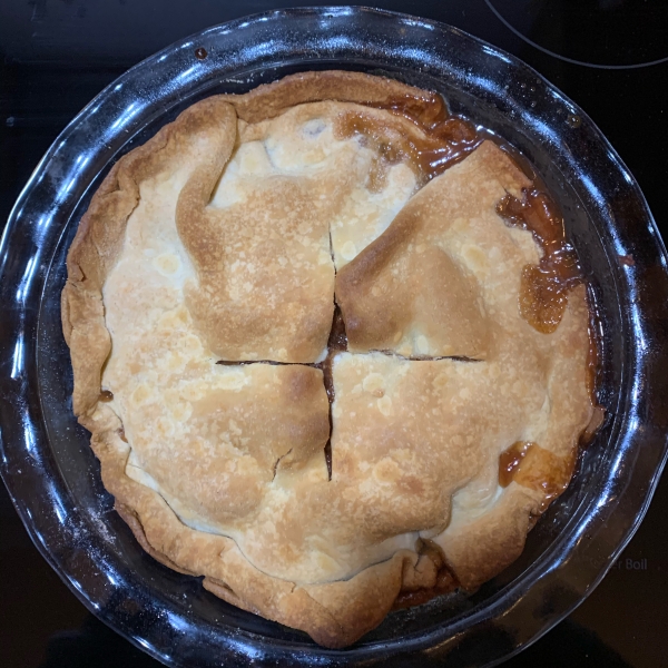 Mom's Apple Pie I