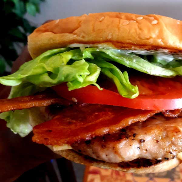 Seasoned Turkey Burgers