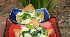 Spinach, Artichoke and Crab Wontons