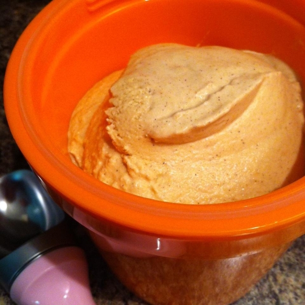 Creamy Pumpkin Ice Cream