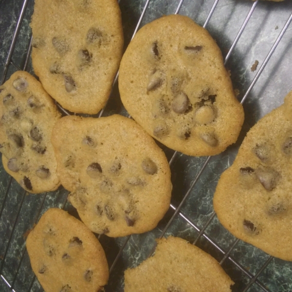 Chocolate Chip Honey Cookies