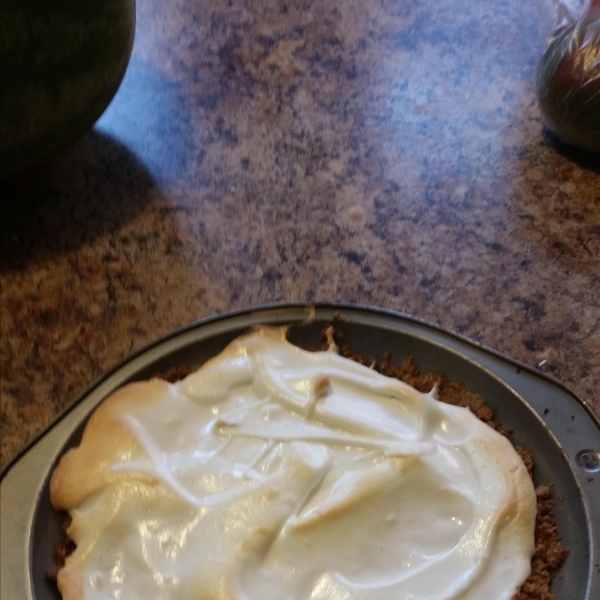 Vanilla Custard Pie