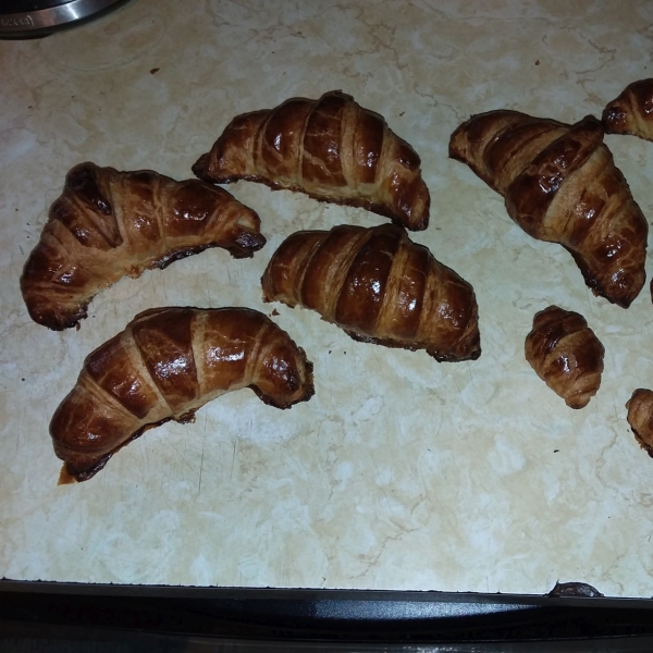 Chef John's Croissants