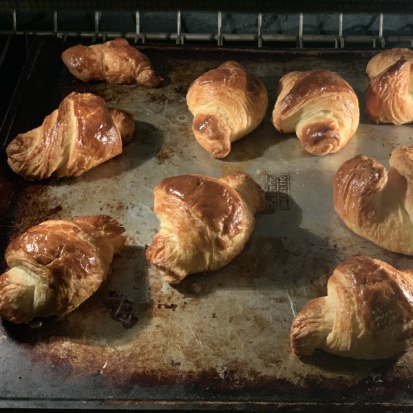 Chef John's Croissants