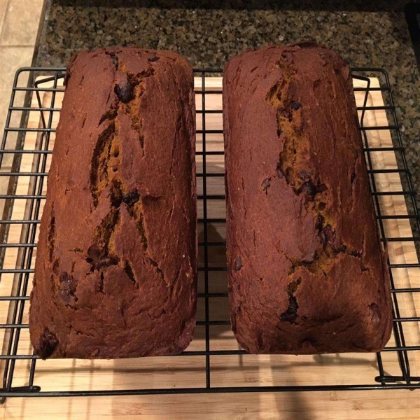 Holiday Chocolate Chip Pumpkin Bread