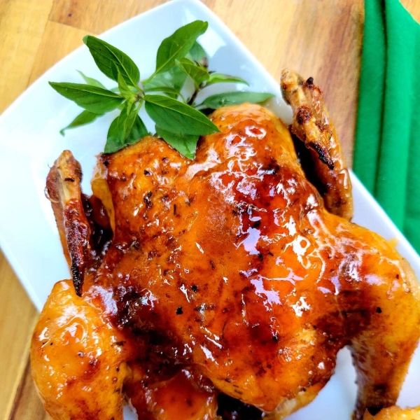 Apricot-Glazed Cornish Hens