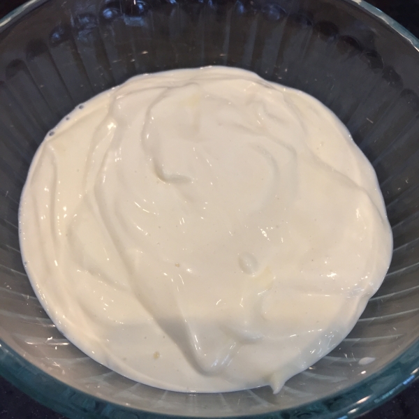 Homemade Paleo Mayo