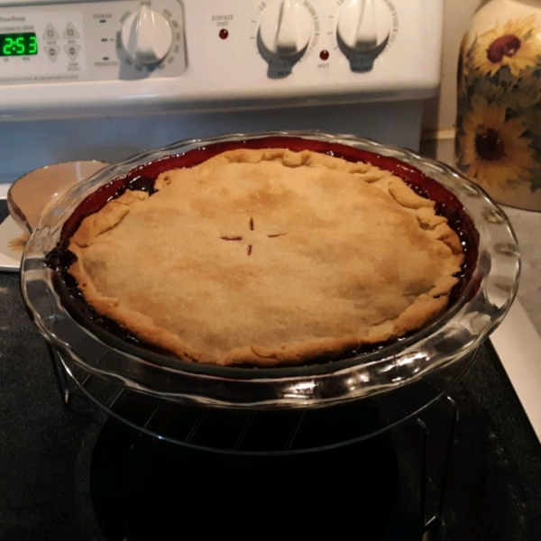 Wild Blackberry Pie