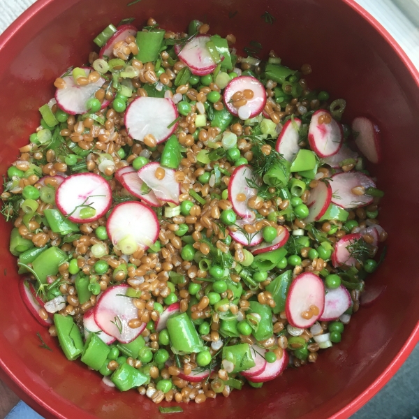 Wheat Berry Salad with Peas, Radishes, and Dill