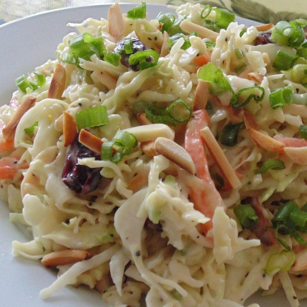 Honey Dijon Mustard and Poppy Seed Coleslaw with Cranberries and Toasted Almonds