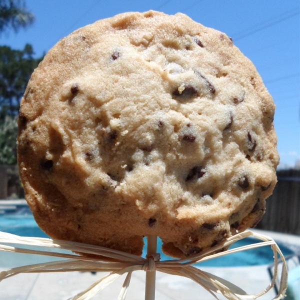 Chocolate Chip Monster Pops