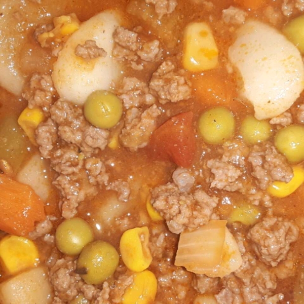 Hamburger Soup II