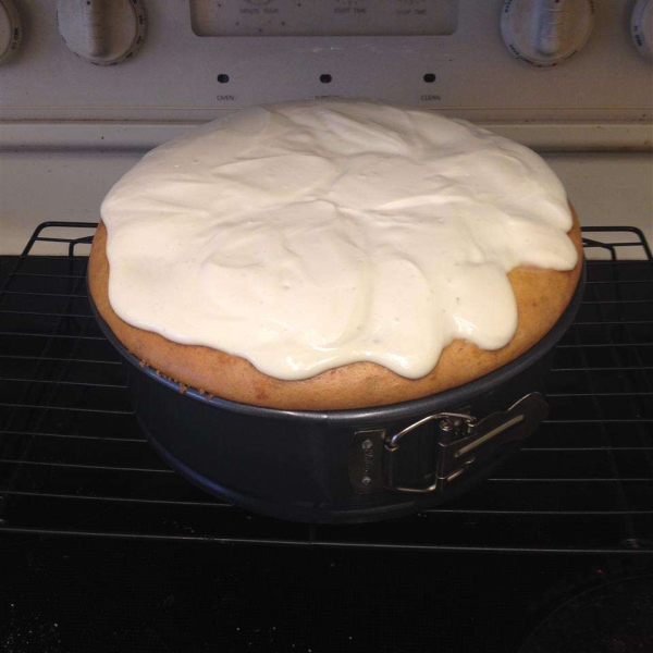 Persimmon Cheesecake