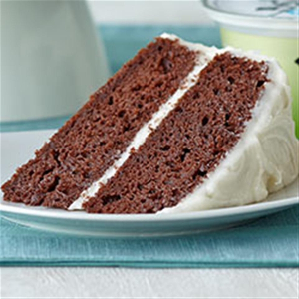 Double Chocolate Cake with Creamy Frosting