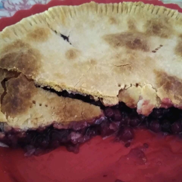 Saskatoon Berry (Serviceberry) Pie