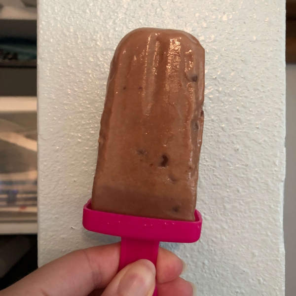 Double Chocolate Frozen Fudge Pops
