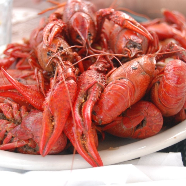 Boiled Crawfish