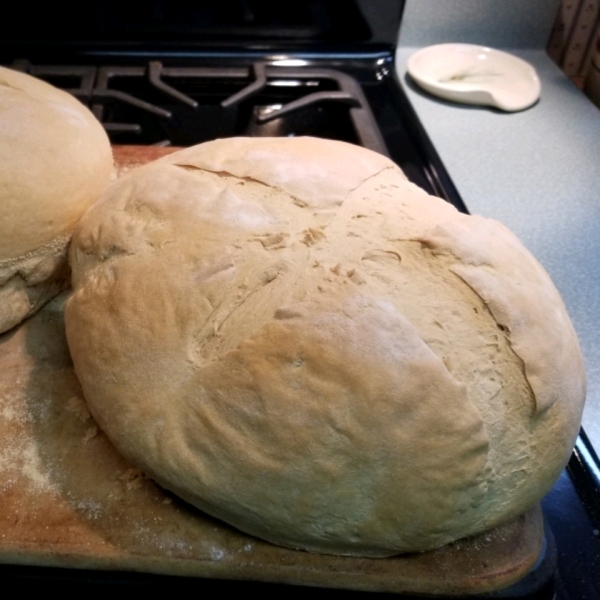 Sourdough Tomato Bread